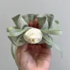 Rose Cloud Scrunchie | Elegant Flower Hair Tie Rose Cloud green Scrunchie – Elegant Flower Hair Tie with Ruffles